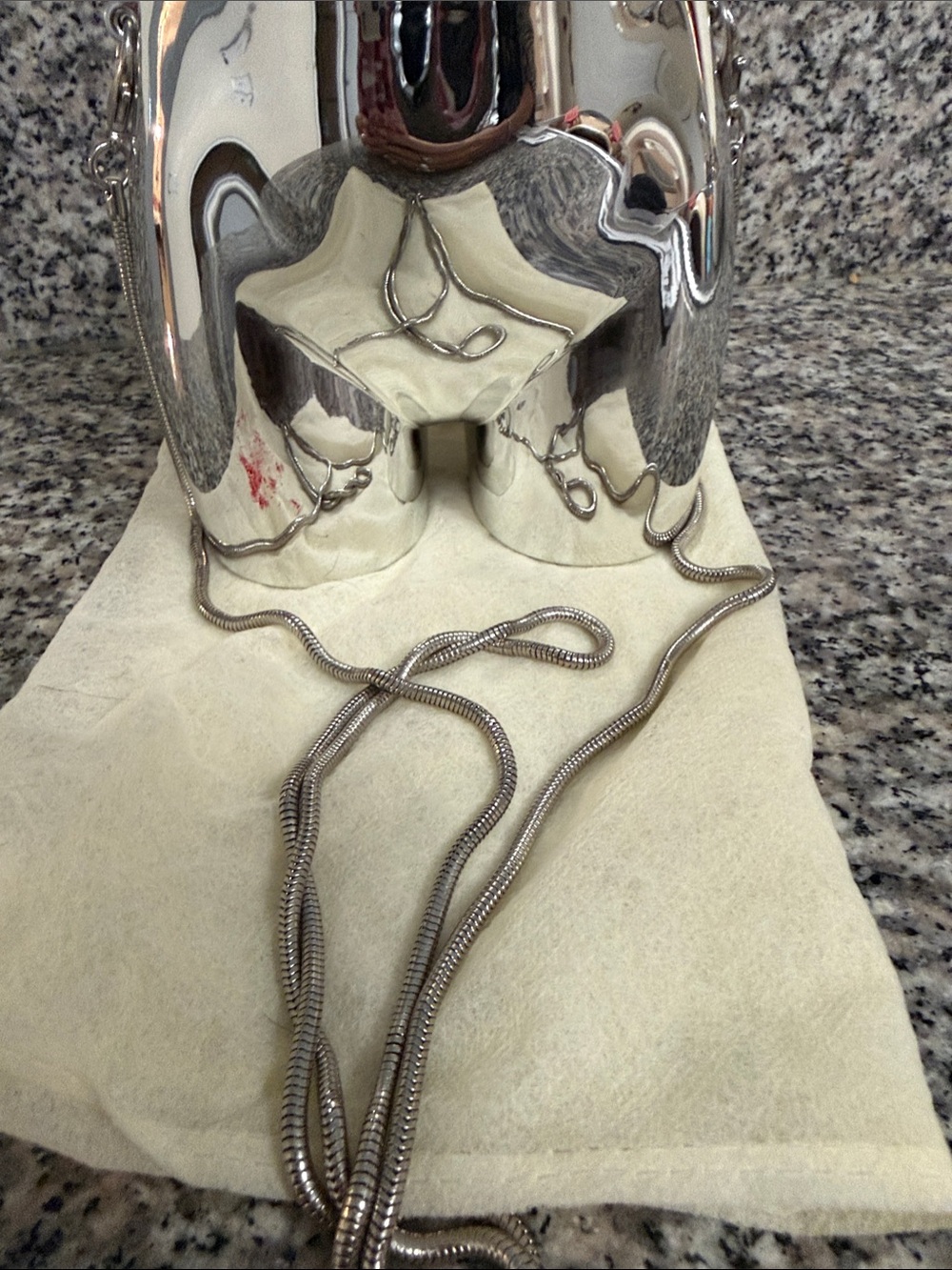 Mirror Butt Purse/Tote